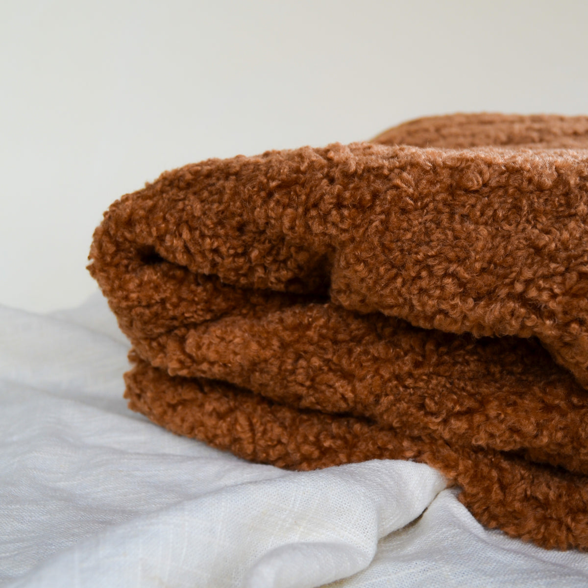 Cozy teddy sherpa discount throw